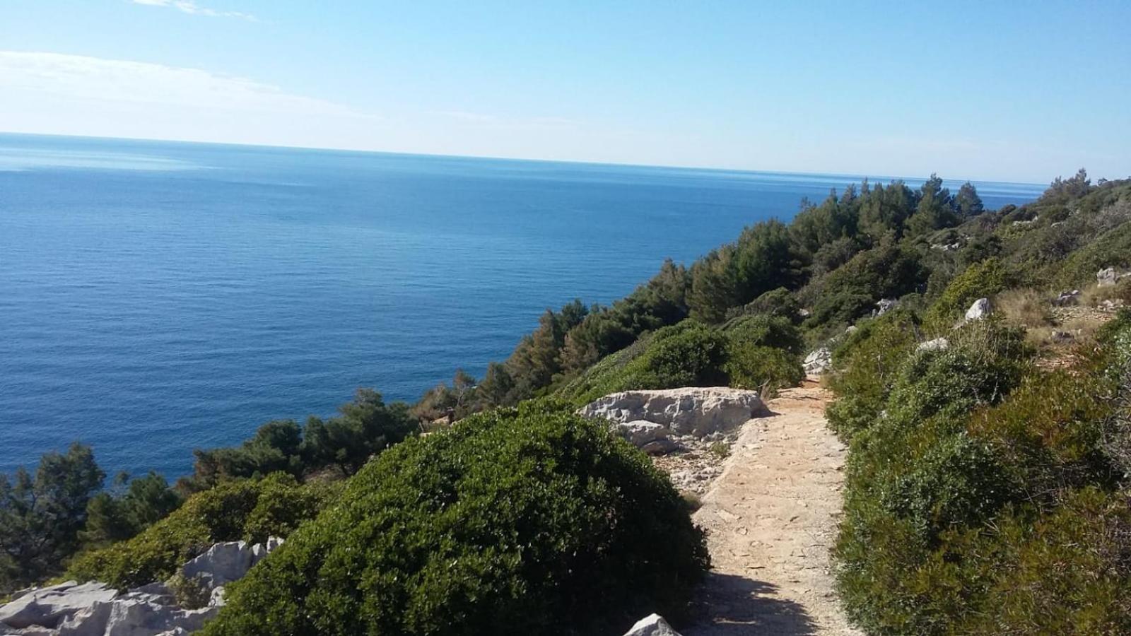 Apartment Nadine Mljet Mit Meerblick Okuklje Kültér fotó