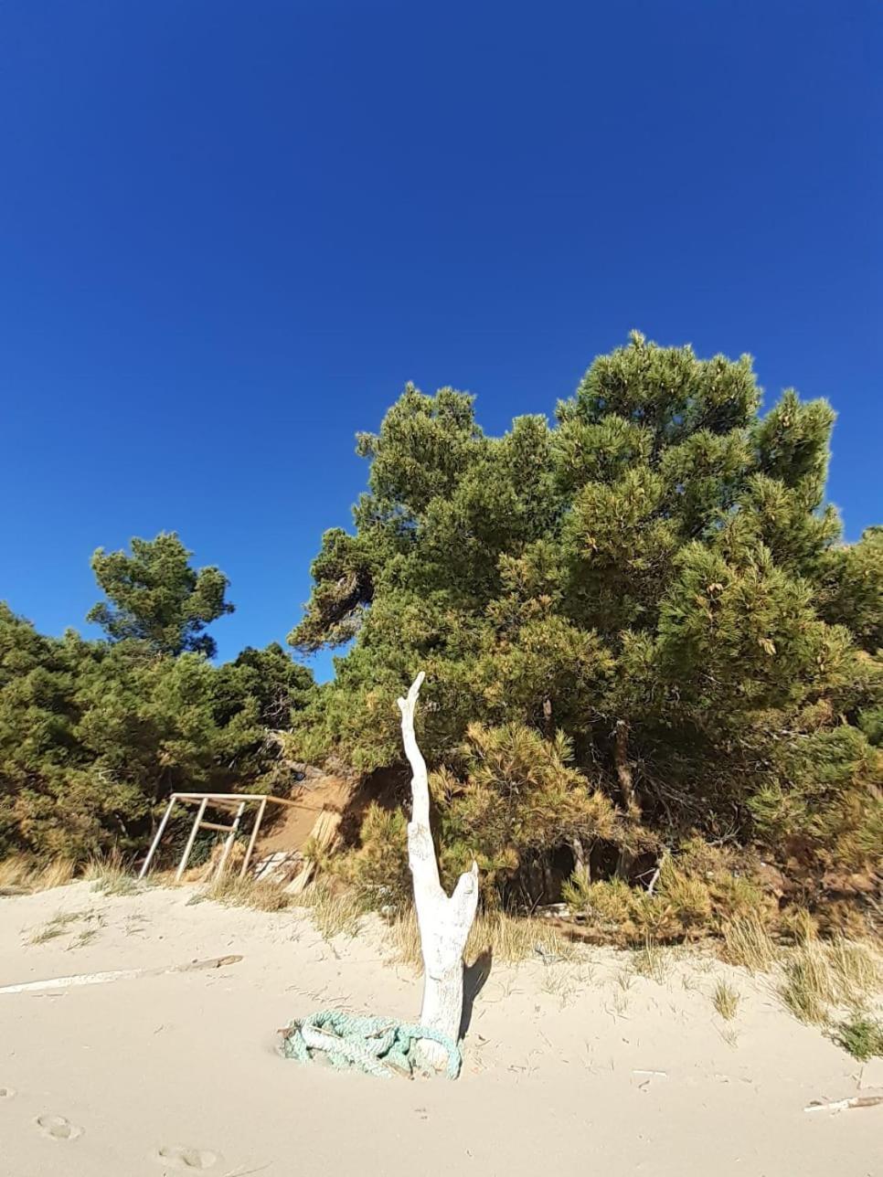 Apartment Nadine Mljet Mit Meerblick Okuklje Kültér fotó