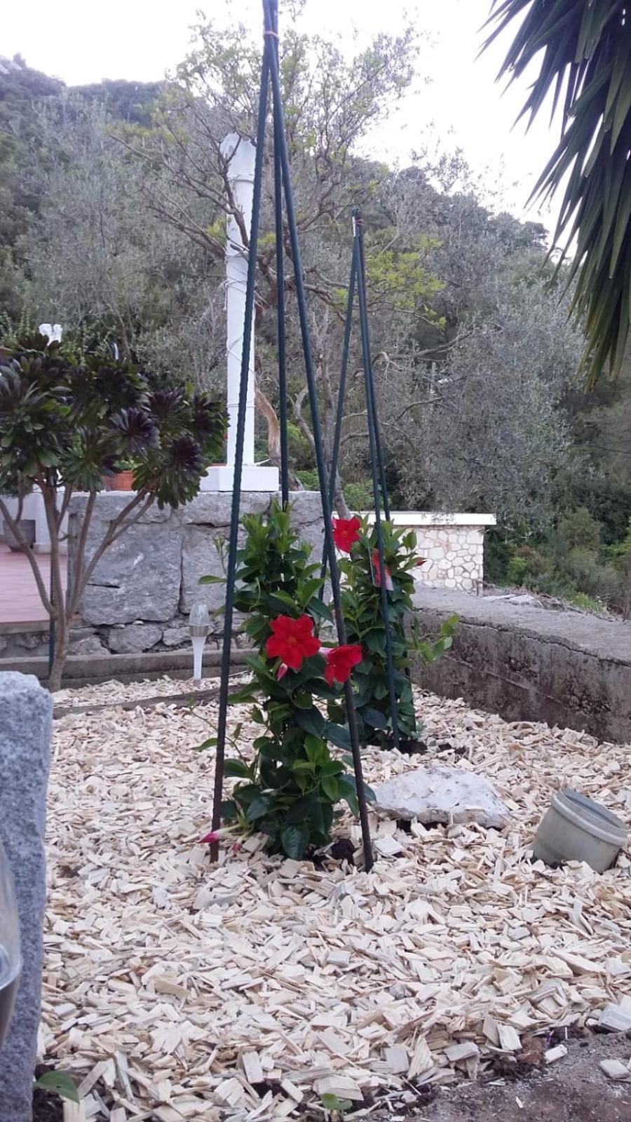 Apartment Nadine Mljet Mit Meerblick Okuklje Kültér fotó